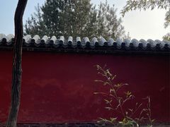 -泰山风景名胜区-普照寺