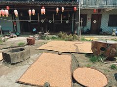 -乌石村