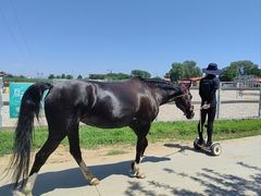 -意大利农场度假村