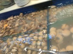 -海天盛宴新派海鲜自助餐厅(群力店)