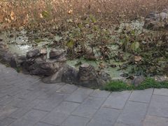 -莲湖公园