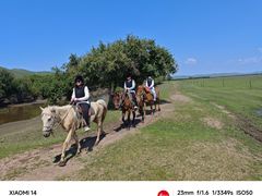 -额尔古纳黑山头绿野马帮骑马场