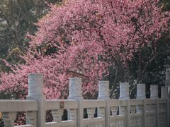 -龟山风景区-龟山电视塔