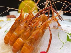 -南麓·浙里(外滩店)