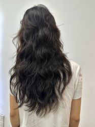 -YESIDO椰岛造型