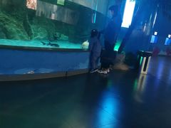 -常州海昌海洋探索馆