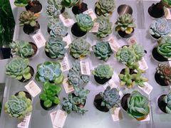 -KKV(深圳宏发大仟里店)