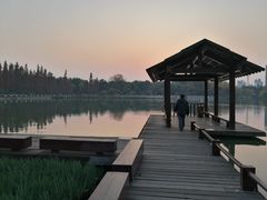 -圩墩遗址公园