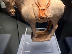 -隋唐大运河文化博物馆