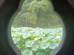 -三苏祠