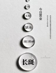 -凡碧诗毛孔清洁收细