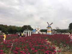 -松山湖梦幻百花洲