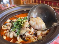 -俭朴菜(鲁磨路店)