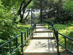 -紫竹院公园冰场