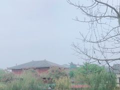 -合浦汉代文化博物馆
