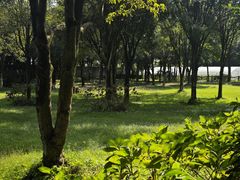 -西山人家·二十年老字号农家菜(旺山店)