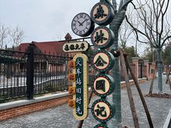-合肥滨湖国家森林公园
