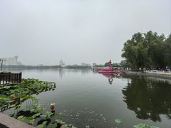 -莲花池公园