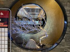 -红辣椒·川菜·火锅(张杨路店)