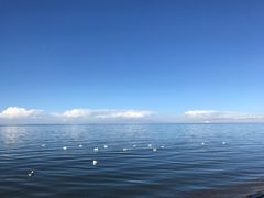 -青海湖国家重点风景名胜区