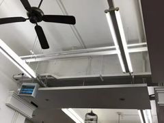 -香港蓮香樓(中環店)