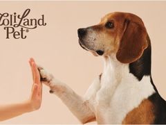 -好利来(湖滨银泰in77店)