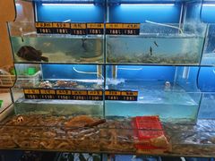 水产区-阿马蛋汤·宁波小海鲜(总店)