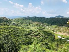 -军营村