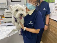 -爱侣宠医·鹦鹉专科·小型哺乳类·异宠专科(灵石路店)