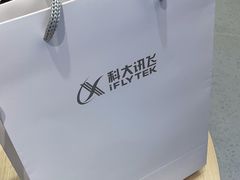 -科大讯飞直营店(上海月星环球港)