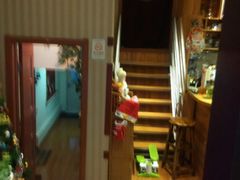 -Rabbit Cafe私房西餐甜点咖啡(栖霞路店)