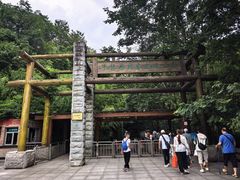 -牛背梁国家森林公园