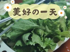 白菜-苗家恒灵酸汤鱼-跳水牛肉连锁店(凯里总店)