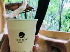 -天门沟九州驿站树上汤泉