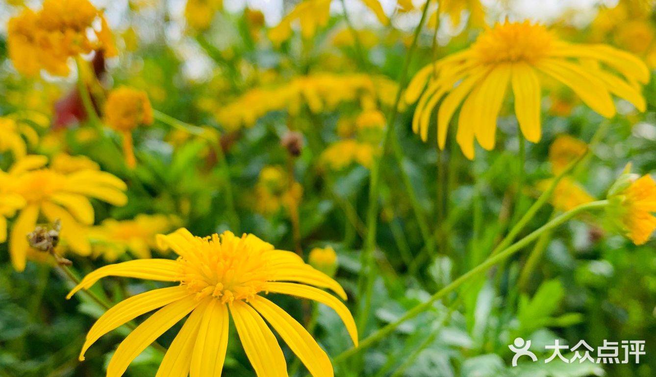 天很蓝，云很白，水很清，你很棒！