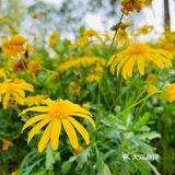 天很蓝，云很白，水很清，你很棒！