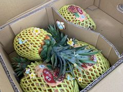 -上海龙吴水胜海发市场