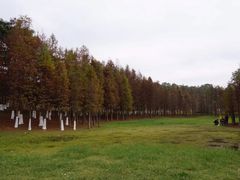 -松山湖南湖湾露营营地