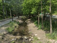 -白水寺森林公园