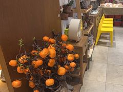 -白氏兄弟烧烤(尹家沟店)