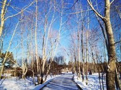 -北极村旅游风景区