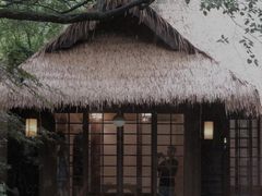 -中国茶叶博物馆(双峰馆区)