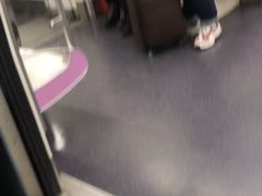-西二旗(地铁站)