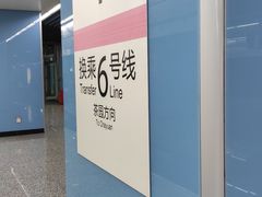 -大龙山(地铁站)