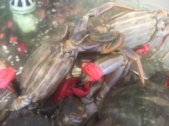 -蓝珊甄选海鲜自助·火锅大排档(近阿那亚店)