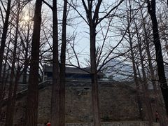 -阳台山自然风景区