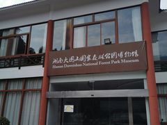 -大围山国家森林公园