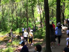 -碓臼峪自然风景区