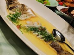 -松鹤楼(狮山永利广场店)