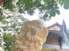 -西双版纳傣族园